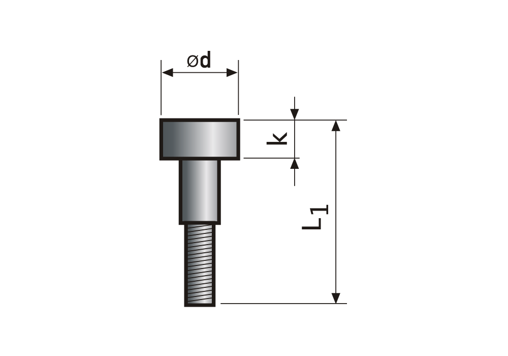 Vložka datumovky - Šipka